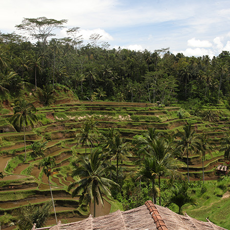 Ubud